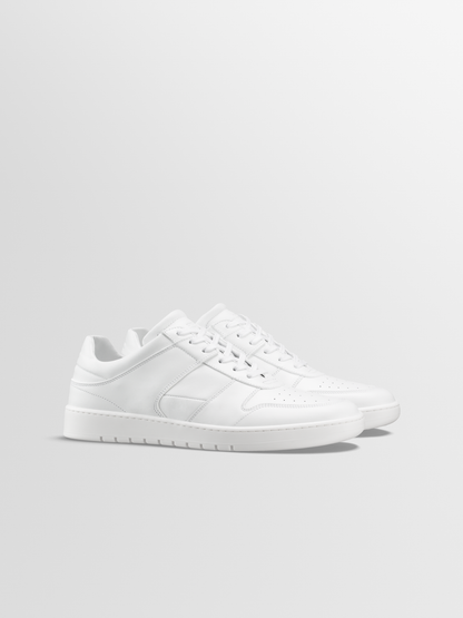 Aventino in Triple White