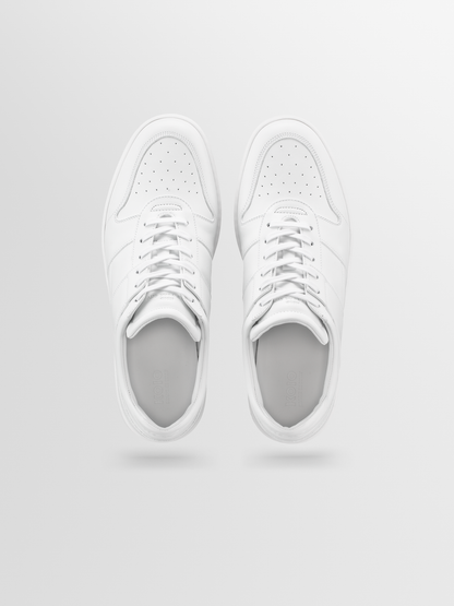 Aventino in Triple White